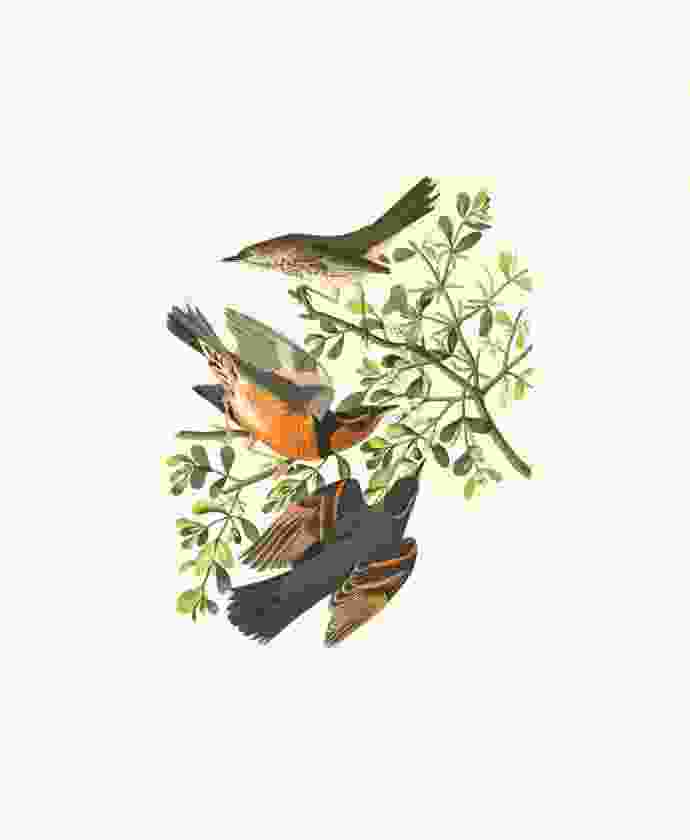 Shop Primary Image Shop Primary Image