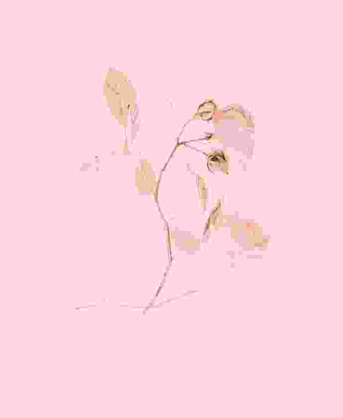 Shop Primary Image Shop Primary Image